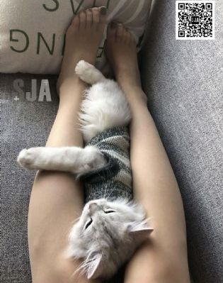 绮靡电视剧全集免费播放在线观看